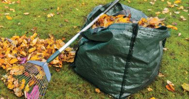Council suspends garden waste collections