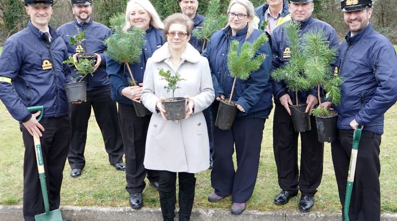 Sultan tree-planting for Queen's Green Canopy