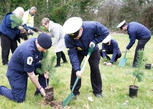 Sultan tree-planting for Queen's Green Canopy 2