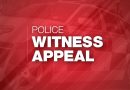 Police launch appeal after town centre collision