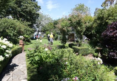 garden