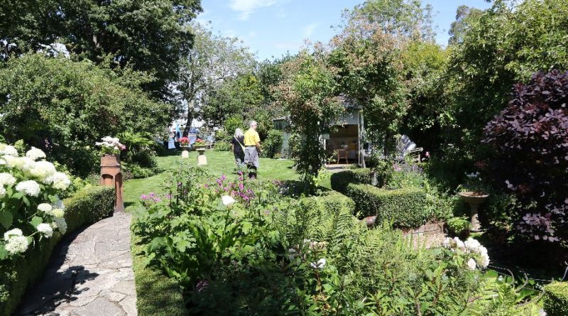 garden