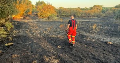 blaze